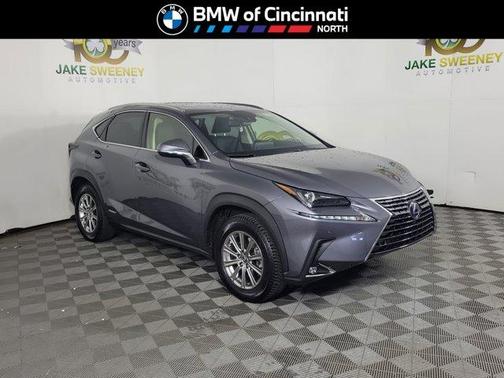 Nebula Gray Pearl 2021 Lexus NX 300h