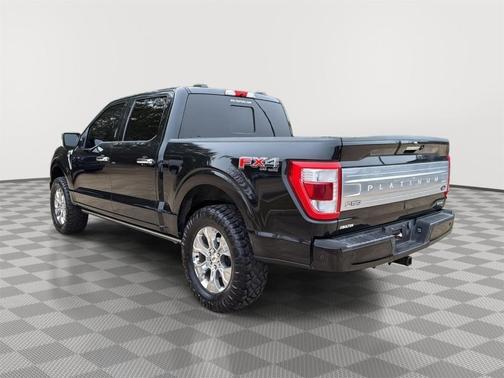2021 Ford F-150 Platinum