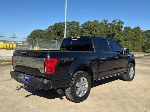 2019 Ford F-150 Platinum