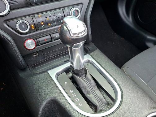 Magnetic Metallic 2019 Ford Mustang EcoBoost Convertible