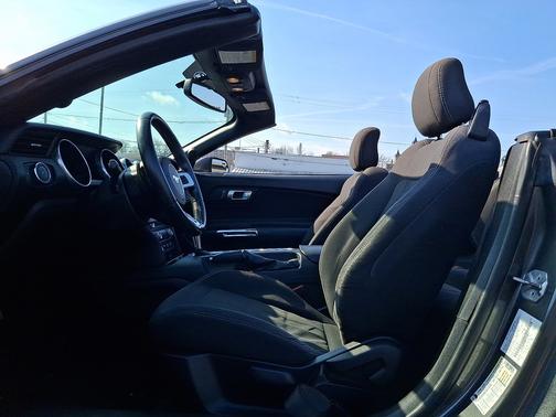 Magnetic Metallic 2019 Ford Mustang EcoBoost Convertible