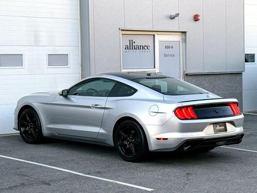 2019 Ford Mustang EcoBoost