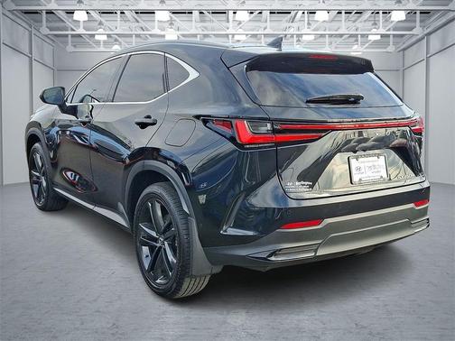 2025 Lexus NX 450h+ Luxury