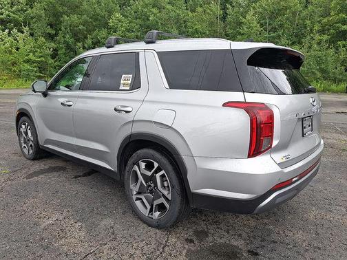 Typhoon Silver 2024 Hyundai PALISADE SEL