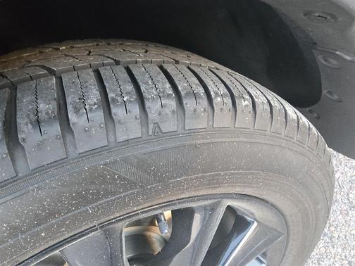 2019 INFINITI QX50 Luxe