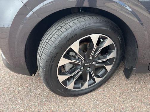 Panthera Metal 2024 Kia Carnival EX