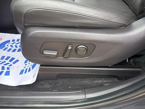 Panthera Metal 2024 Kia Carnival EX