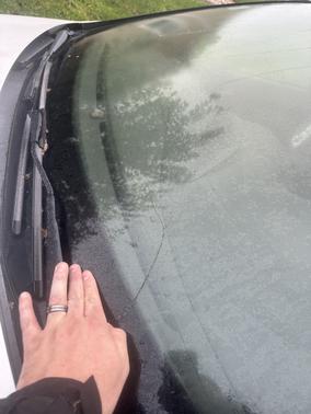 White 2015 Ford Focus ST Base