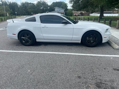 2014 Ford Mustang V6