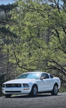 2008 Ford Mustang Base