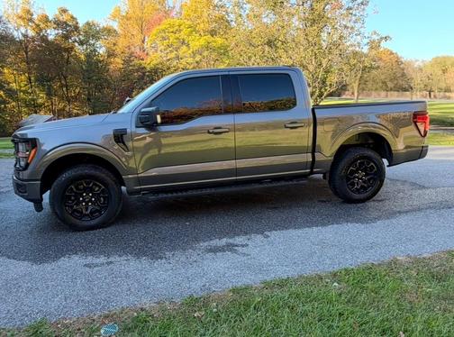Gray 2025 Ford F-150 XLT