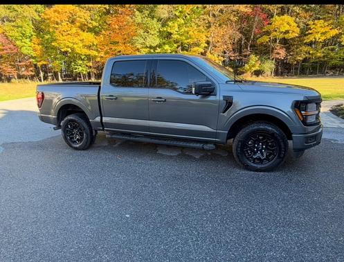 Gray 2025 Ford F-150 XLT