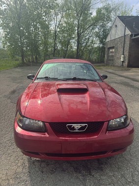 2004 Ford Mustang Base