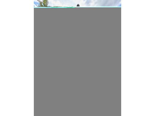 2015 Mercedes-Benz Sprinter Normal Roof