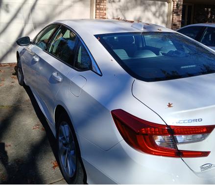 2019 Honda Accord LX