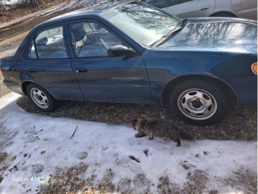 1999 Toyota Corolla LE