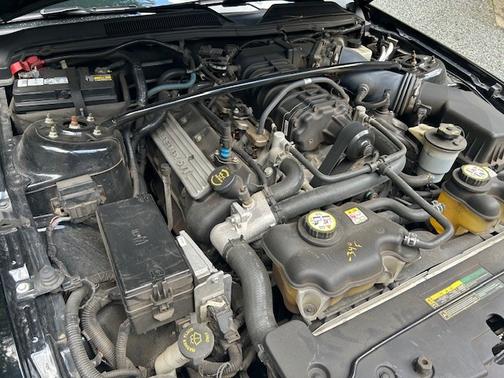 2007 Ford Shelby GT500 Base
