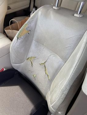 2010 Lexus GX 460 Premium