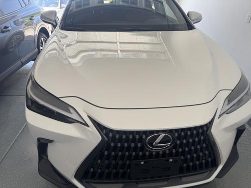 White 2024 Lexus NX 350h Premium