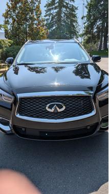 2019 INFINITI QX60 LUXE