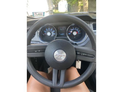 2010 Ford Mustang Base