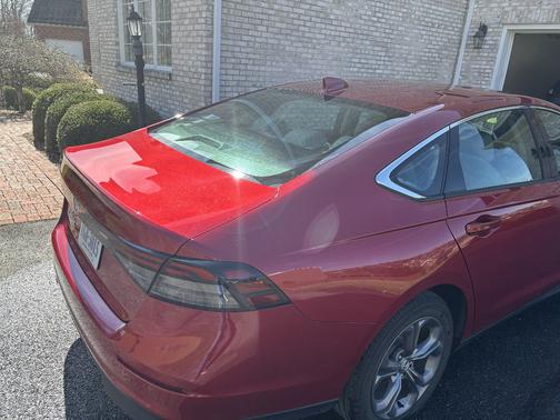 Red 2024 Honda Accord EX