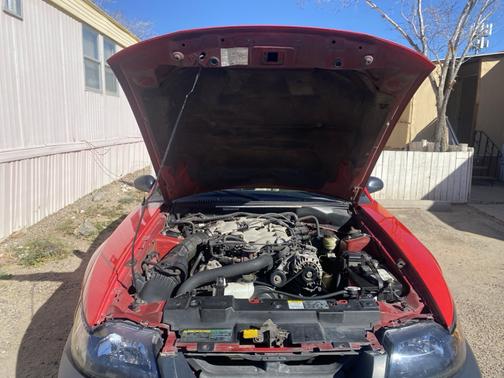 Red 2004 Ford Mustang Base