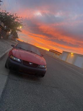 2004 Ford Mustang Base