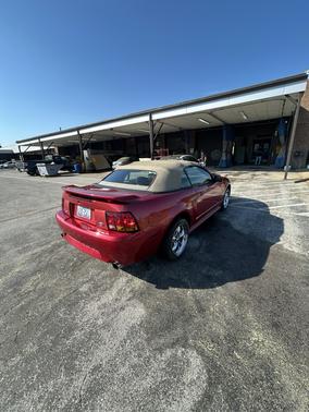2001 Ford Mustang SVT Cobra