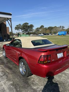 2001 Ford Mustang SVT Cobra
