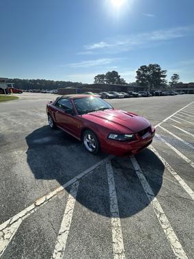 2001 Ford Mustang SVT Cobra