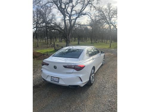 2022 Acura TLX Technology