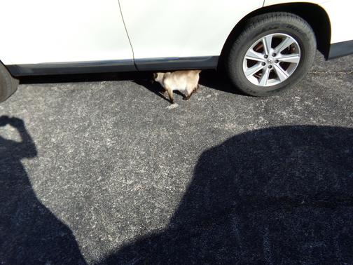 2013 Toyota Highlander SE