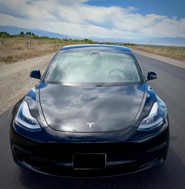 Beige 2021 Tesla Model 3 Long Range