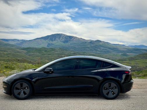 Beige 2021 Tesla Model 3 Long Range
