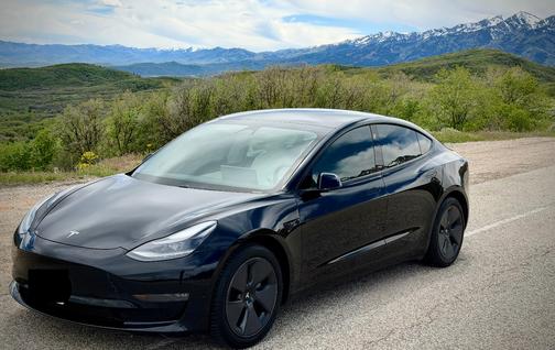 Beige 2021 Tesla Model 3 Long Range