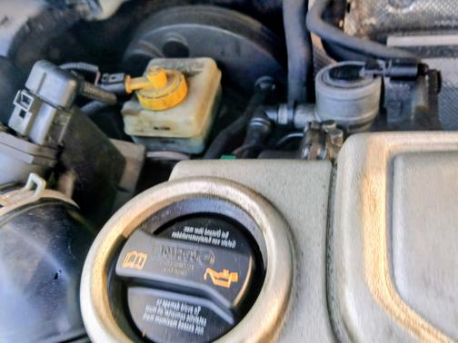 Green 2009 Volkswagen New Beetle S