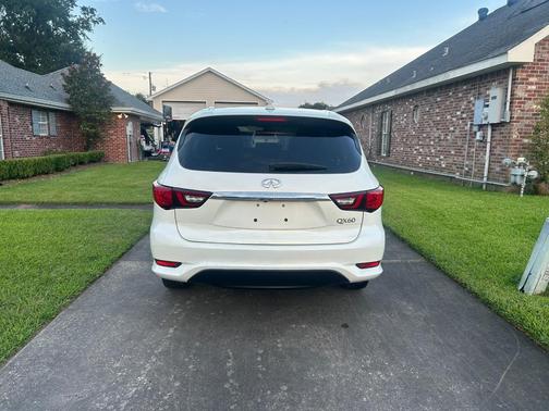 White 2019 INFINITI QX60 Pure