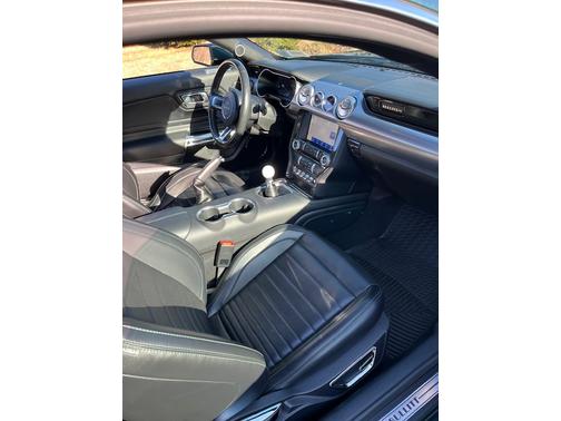 2019 Ford Mustang Bullitt