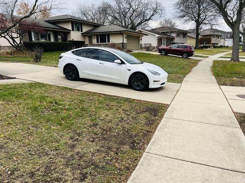 White 2023 Tesla Model 3 Base