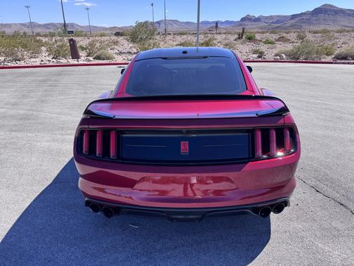 2019 Ford Shelby GT350R Base