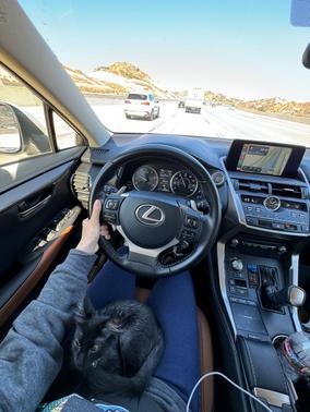 White 2019 Lexus NX 300 Base