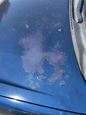 2004 Toyota Corolla LE