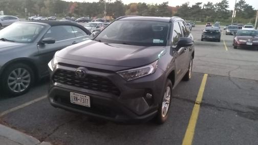 2019 Toyota RAV4 XLE