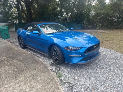 2019 Ford Mustang EcoBoost