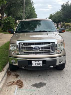Beige 2013 Ford F-150 XLT