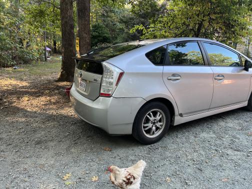 2010 Toyota Prius I