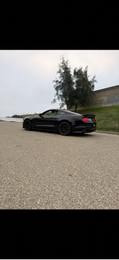 2016 Ford Shelby GT350 Base