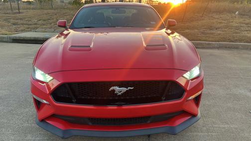 Red 2019 Ford Mustang GT