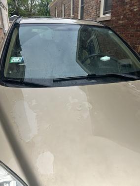 Gold 2007 Honda CR-V EX